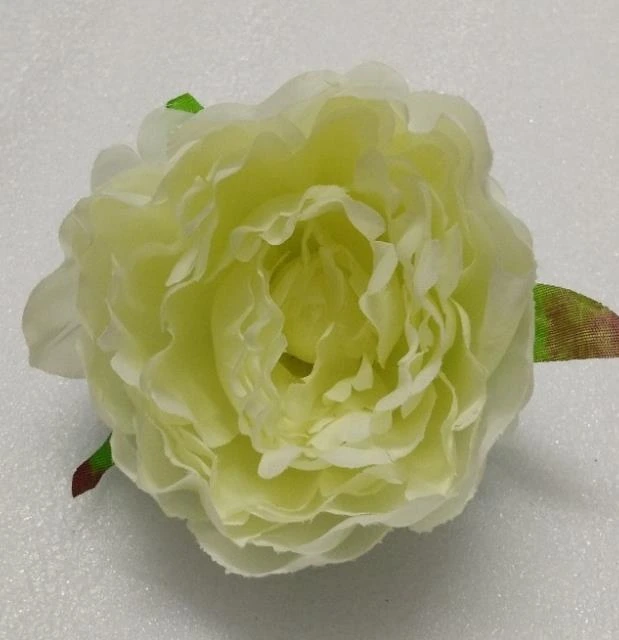 Peony Open Big
